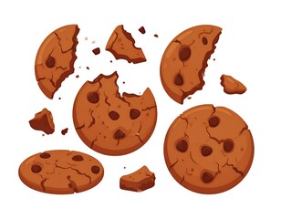 Assorted broken chocolate chip cookies