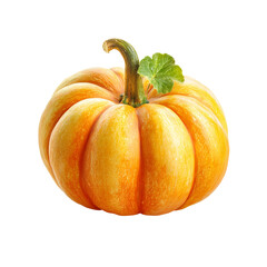 Fototapeta premium Small, vibrant orange-yellow pumpkin