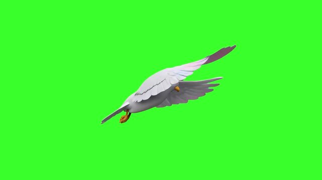 A graceful white dove with spread wings flies peacefully in a smooth looping motion against a chroma key green background, symbolizing peace, freedom, or the Holy Spirit in religious, wedding, or insp