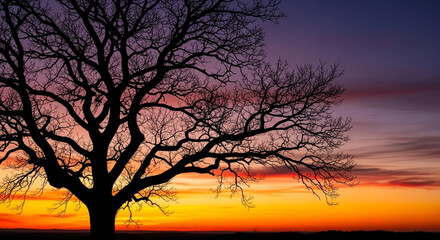 Stunning silhouette of a majestic bare tree branches against a vibrant, gradient sunset sky with hues of purple, pink, orange, and yellow, evoking a sense of peace and natural beauty.