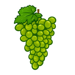 grapes fruit