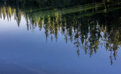 Trees Reflected in Lake, Grand Tetons