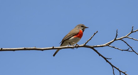 Bird perched on branch against a blue sky with copy space
