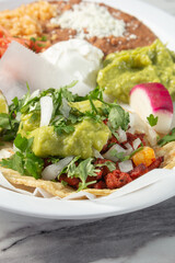 A closeup view of a plate of al pastor tacos.