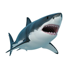 Fototapeta premium A Realistic Shark Render