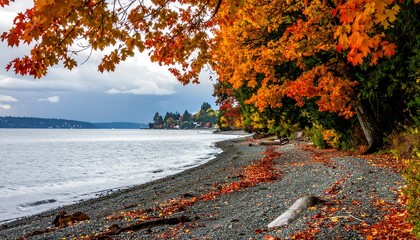An autumn shoreline scene showcases colorful leaves framing a pebbled beach, a calm sea, and distant homes under a cloudy sky