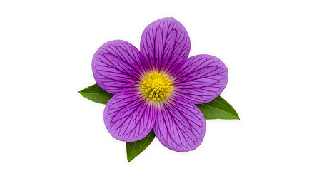 Fototapeta premium Vibrant purple flower with yellow center and green leaves