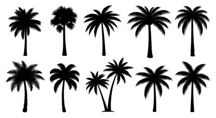 Obraz premium A collection of black silhouettes of various palm trees against a white background.
