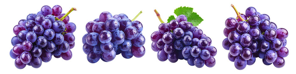 Bunch of fresh grapes isolated on white background, purple color, natural gloss