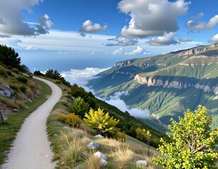 Scenic Mountain Trail with Fog and Lush Vegetation