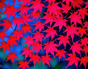 Vibrant Red Maple Leaves with Gradient Background
