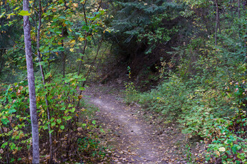 Callahan Creek Trail