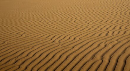 Obraz premium Sand dunes with rippled patterns created by wind, showing texture and natural beauty.