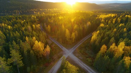 direction. Forked country road through autumn forest during golden hour, symbolizing choices and journeys. representing seasonal cycles and harvest abundance.
