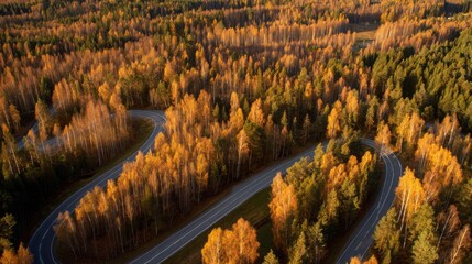 direction. Forked country road through autumn forest during golden hour, symbolizing choices and journeys. representing seasonal cycles and harvest abundance.