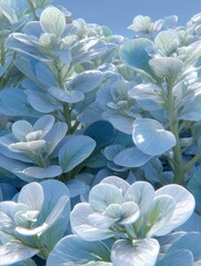 Fototapeta premium Lush Greenery with Soft Blue Tones Creating a Serene and Tranquil Atmosphere in Nature's Breathtaking Beauty