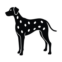Dalmatian Silhouette