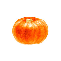 かぼちゃ　オレンジ色　野菜　水彩 イラスト