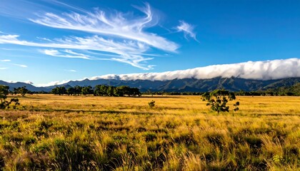Scenic landscape depicting a vast, golden field stretching towards a mountainous horizon under a vibrant blue sky with wispy clouds