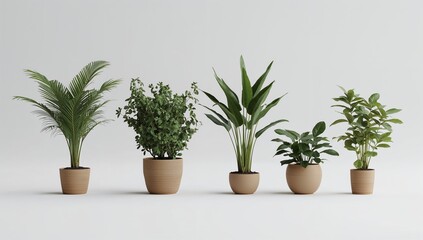 Obraz premium A collection of potted houseplants arranged in a minimalist neutral setting
