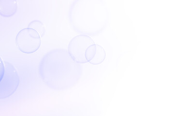 Beautiful Clear Soap Bubbles Floating in The Air. Celebration Festive Backdrop. Freshness Soap Suds Bubbles Water. White Gradient Textured Background.	
