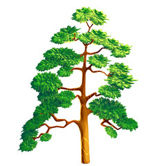 Isolated Pine Tree Illustration with Lush Green Foliage and Brown Trunk on a Transparent Background Creating a Vibrant Nature Element