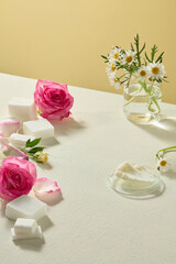 Shea butter with roses and chamomile arranged neatly on beige table. Natural skincare ingredient still life photo in soft light with blank background for branding.