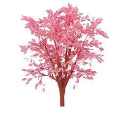 Isolated Pink Cherry Blossom Tree with Transparent Background for Creative Projects Blooming Tree with Lush Pink Flowers and Delicate Branches in Black Background