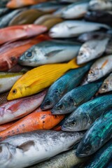 Obraz premium background of different fish on a blue background