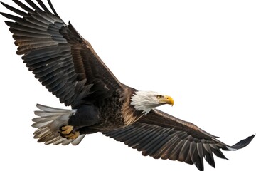 Obraz premium Eagle in Mid-Flight Realistic Photo