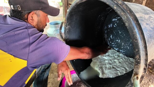 Medium shot capturing the hands-on, traditional labor of a cheesemaker pressing the fresh buffalo milk curd to release the whey, set against a rustic farm backdrop with livestock