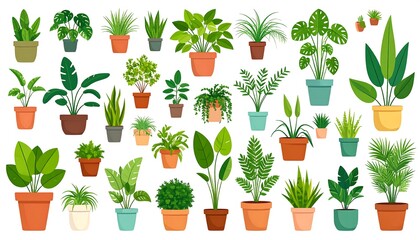 An illustrated collection of potted houseplants of various species and sizes, arranged on a white background