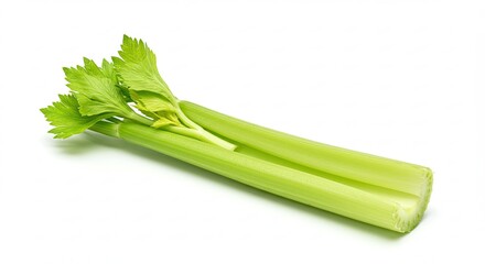 Fresh green celery stalk with leaves isolated on white background.