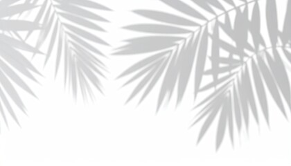 Overhead view with light and shadow of palm leaves on a white background