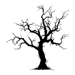 Fototapeta premium Dead tree silhouette spooky branches isolated on transparent background