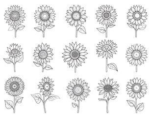 Set of hand-drawn sunflowers