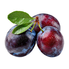Damson plum
