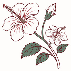 Illustration of hibiscus flowers with leaves and a bud on a stem in a simple line drawing style