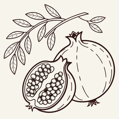 Illustration of pomegranates with leaves and one half cut open showing the seeds, in a line art style
