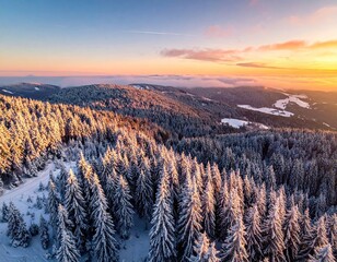 Aerial View of Snow Covered Coniferous Forest at Sunset with Warm Light and Hazy Sky Over Hills Winter Scenery