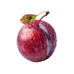 Davidsons plum