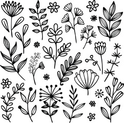 Botanical Line Art Collection Whimsical Floral and Foliage Elements for Creative Designs and Nature Inspired Aesthetic