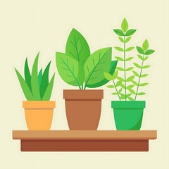 Obraz premium Three potted green houseplants on a shelf in flat illustration style