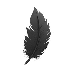 Obraz premium Grey feather image isolated on transparent background