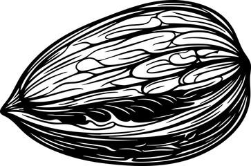 Detailed line art illustration of a single almond nut, showcasing its intricate texture and organic shape, perfect for healthy eating concepts and culinary designs.