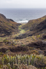 Exploring the Scenic Afur Ravine Leading to Tamadite Beach in Tenerife, Spain