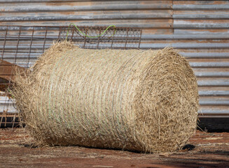 A rolled hay bale stored next to a corrugated iron shed on a farm, ready to be used as stock feed if required on an outback farm in Charleville in Queensland, Australia.
