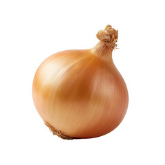 Whole yellow onion with dry skin and root isolated on transparent background