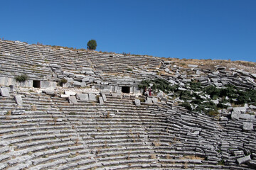 view from the top of the hill