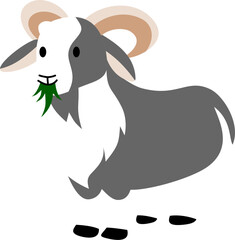 Eid al Adha animal